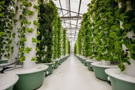 Micro‑Grid Crop Circulation Pangan Lokal di Komunitas Vertikal